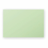 Karte Pollen 70x95mm 210g VE=25 Stück grün