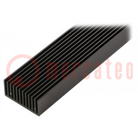 Disipador: extruído; multipanel; negro; L: 1000mm; W: 45mm; H: 22mm