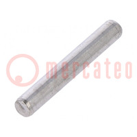 Cylindrical stud; A2 stainless steel; BN 684; Ø: 3mm; L: 20mm