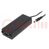 Power supply: switched-mode; 48VDC; 1A; Out: 5,5/2,5; 48W; 0÷60°C