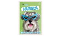 SUSY CARD Geburtstagskarte - Humor "Brillenhund" (40051499)