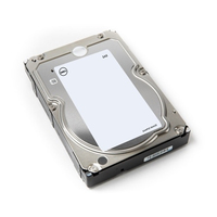 DELL 161-BCGL Interne Festplatte 8 TB 7200 RPM 3.5" SAS