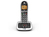 British Telecom BT 4600 Premium Nuisance Call Blocker Single DECT telephone Caller ID Black, Silver