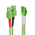Lindy 46323 InfiniBand és száloptikai kábel 5 M 2x LC 2x SC Zöld