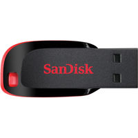 SanDisk Cruzer Blade 32Gb Usb