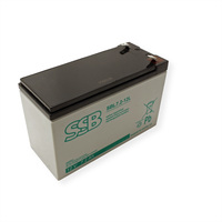 Speciale batterij voor UPS 12V 07Ah