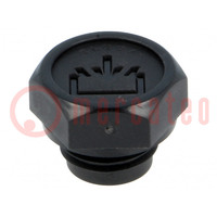 Fill plug; without side hole; Thread: M14; Overall len: 16mm