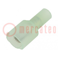Terminal: flat; 4.8mm; 0.5mm; male; crimped; for cable; insulated
