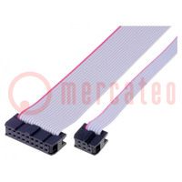 Ribbon cable with IDC connectors; Cable ph: 1.27mm; 0.3m