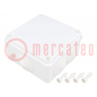 Enclosure: junction box; X: 100mm; Y: 100mm; Z: 50mm; IP65; white
