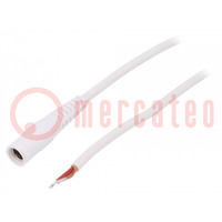 Cavo; 1x1mm2; cavo,DC 5,5/2,1 presa; dritto; bianco; 1,5m