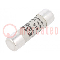 Fuse: fuse; gG; 40A; 500VAC; ceramic,cylindrical,industrial