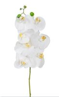Artificial Silk Phalaenopsis, Real Touch - 70cm, White