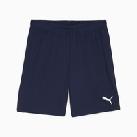 PUMA teamGOAL