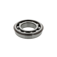 Deep groove ball bearings 6205 ZENR