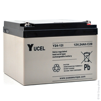 Unité(s) Batterie plomb AGM YUCEL Y24-12I 12V 24Ah M5-F