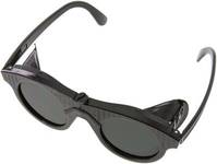 SCHUBRISTSCHW Standard-Schweißschutzbrille, robuste und preisgünstige Universalb