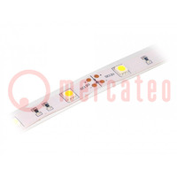 LED tape; white cold; 5050; 12V; LED/m: 30; 14.36mm; IP65; 120°
