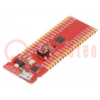 Entw.Kits: Microchip PIC; PIC16; Xpress Board; Prototypenplatine