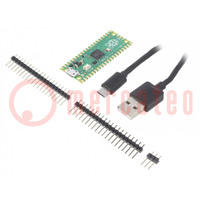 Dev.kit: Raspberry; Comp: RP2040; Uoper: 1.8÷5.5VDC; Usup: 5VDC