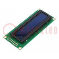 Display: OLED; grafico; 2,4"; 100x16; verde; 5VDC; Touchpad: assente