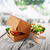 Burgerbox mit Fettbarriere; 11x11x9 cm (LxBxH); braun; 50 Stk/Pck