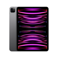 Apple iPad Pro Apple M 2 TB 27,9 cm (11") 16 GB Wi-Fi 6E (802.11ax) iPadOS 16 Grau