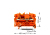 Wago 2001-1202 morsettiera Arancione
