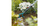Gardena 3166-20 arado de cincel y cultivador manual Turquesa Rastrillo de jardín