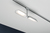 Paulmann 954.69 Spot lumineux sur rail Chrome, Blanc LED 8 W