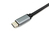 Equip 133484 notebook dock & poortreplicator USB 3.2 Gen 1 (3.1 Gen 1) Type-C Zilver
