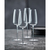 Lyngby Glas 31512 Sektglas 360 ml Champagnerglas