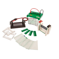 Sistema de electroforesis vertical, dimensión gel 82 x 88mm, 1 o 2 geles