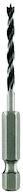 Bosch Bleu Accessoires 2609255147 FORET HÉLICOÏDAL EN BOIS HEXAGONAL 3MM