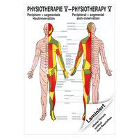 Hautinnervation Mini-Poster Anatomie 34x24 cm medizinische Lehrmittel, Laminiert