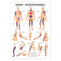 Taping Basistechniken I Mini-Poster Anatomie 34x24 cm medizinische Lehrmittel, Nicht Laminiert
