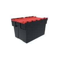 Attached lid container with coloured lid - ECO