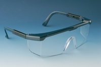 Schutzbrille CLAREX | Typ: CLAREX getönt