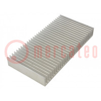 Heatsink: moulded; grilled; natural; L: 100mm; W: 200mm; H: 25mm; raw