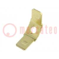 Terminal: flat; 6.4mm; 0.8mm; male; M3; double; screw; brass