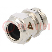 Cable gland; M25; 1.5; IP68; brass; ANACONDA UL/CSA