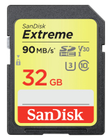 SanDisk SDSDXVE-032G-GNCI2 Speicherkarte 32 GB SDHC UHS-I Klasse 10