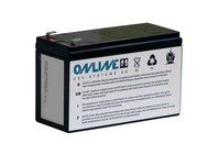 ONLINE USV-Systeme BCX3000BP UPS akkumulátor