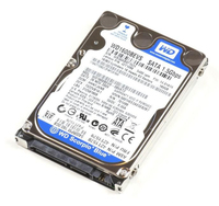 CoreParts IB320002I131S disco rigido interno 320 GB SATA