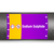 Brady ISO20560PM-340X210-SODIUM SULPHIDE selbstklebendes Etikett Rechteck Dauerhaft Mehrfarbig