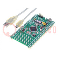 Zest.uruch: Microchip; kabel USB,płyta prototypowa
