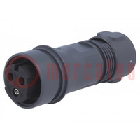 Connector: circular; plug; female; PIN: 3; Buccaneer 6000; UL94V-0