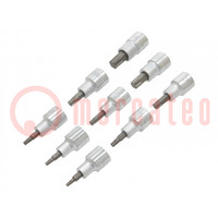 Set di chiavi; bussola Torx®,a tubo; Fissaggio: 1/2"; 9pz.