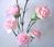 Artificial Silk Carnation Flowers Spray - 67cm, Cream