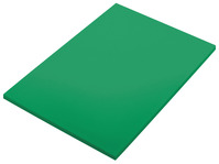 Schneidebrett Separa L; 60x40x2 cm (LxBxH); grün